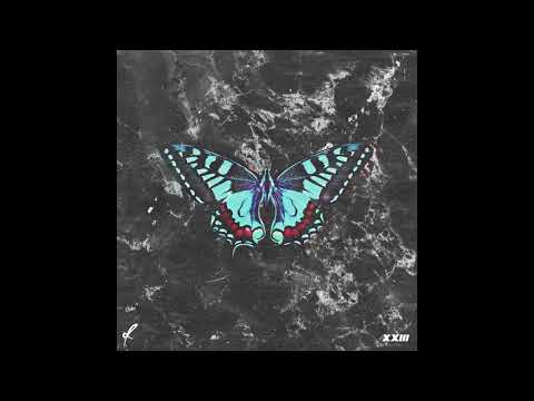 dinoecelmaitare - fluture