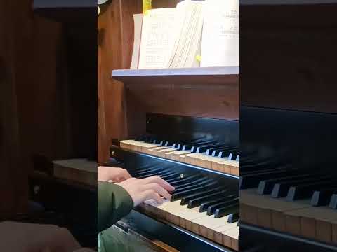 GL 133: Lamm Gottes, du nimmst hinweg die Sünde der Welt