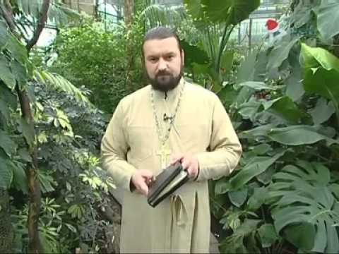 андрей ткачев читает псалтирь. толкование псалтири андреем ткачевым. протоиерей андрей ткачёв проповеди. андрей ткачев сила 26 псалма. андрей ткачев псалом 90.