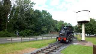 preview picture of video '822 The Earl at Y Trallwng Sgwar Gigfran/Welshpool Raven Square on 14th June 2014'