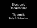 Electronic Renaissance - Belle & Sebastian
