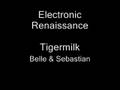 Electronic Renaissance - Belle & Sebastian 