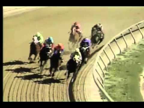 Pimlico 04/20/13 Race 7 - Stormy Blues Stakes