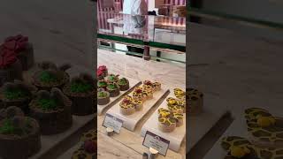 A Sweet Stop on the Disney Treasure