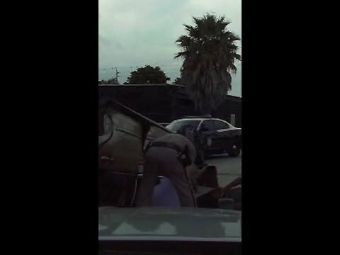 Video shows car flip during police chase