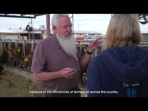 Paul Rovey - Rovey Dairy, Arizona