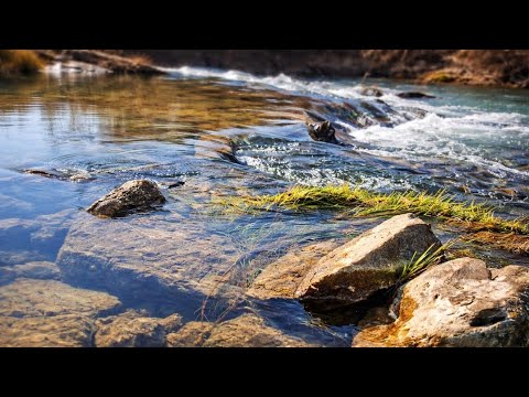Relaxing River Sounds for Sleep, Study & Stress Relief | 30 Min Nature Ambience
