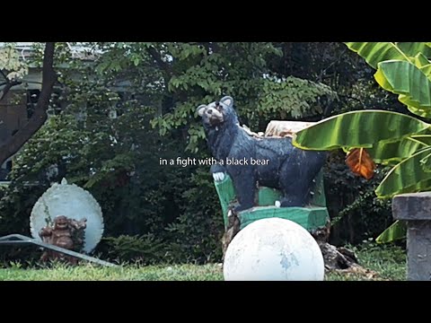 hey, nothing - Black Bear (Official Lyric Video)