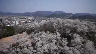 preview picture of video 'Cherry tree of the Mt. Jinmu 空撮：神武山【兵庫・豊岡市】'