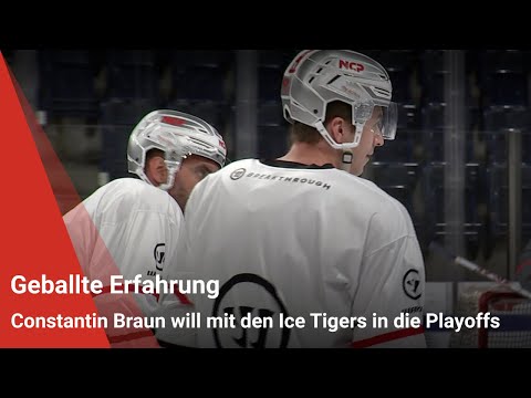 Geballte Erfahrung: Constantin Braun will mit den Ice Tigers in die Playoffs
