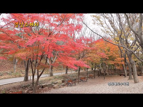 경상북도수목원