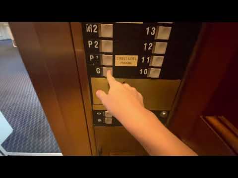 HIGH RISE Montgomery Vector Traction Elevators