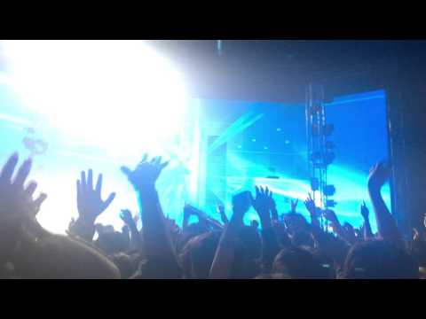 Zedd Live@AxHall,Seoul - Falling Deeper(Dave Winnel Energy Mix)