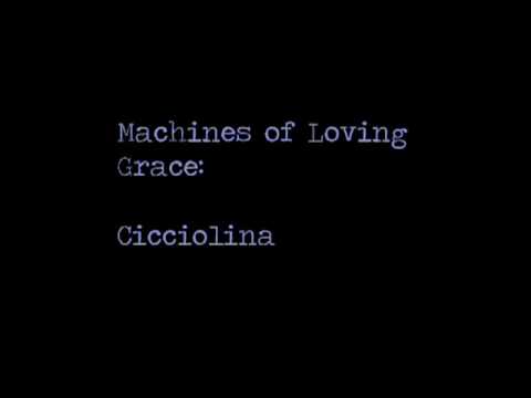 Machines of Loving Grace -- Cicciolina