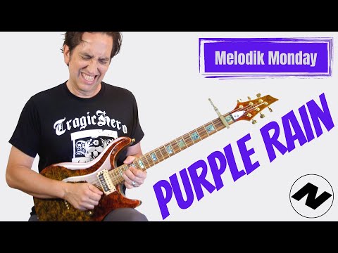 Neil Zaza- "Purple Rain"