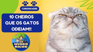 10 CHEIROS QUE OS GATOS ODEIAM! você deve evitar!
