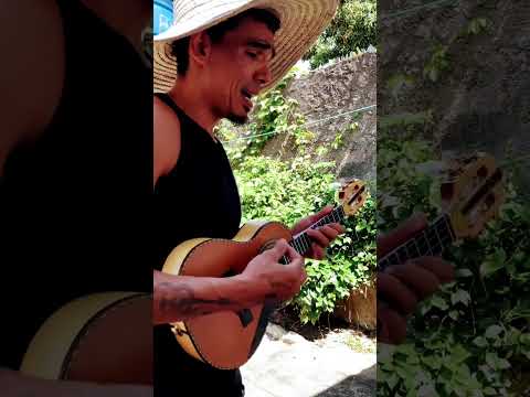 Espumas ao vento - Fagner (Cover cavaco e voz)