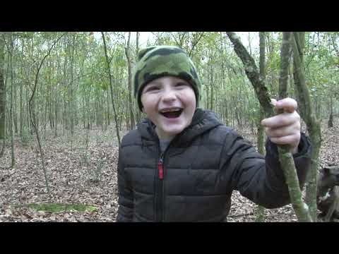 YouTube video about: Who buys fat lighter stumps?