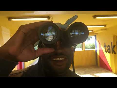 Mr Pigeons - Predators Glide