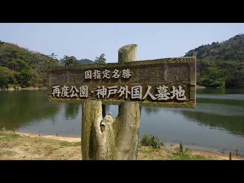 神戸外国人墓地へ　１　明治時代　神戸港開港以降から神戸の為尽くされた異人さんの為のお墓です。母国に帰らず異国の地で・・どうぞやすらかにお眠りください。