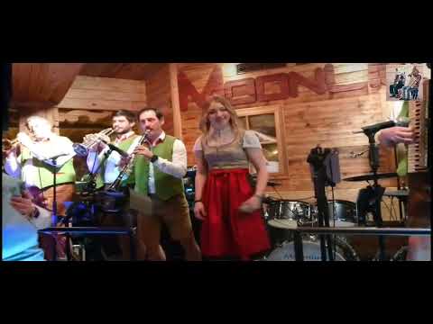 Oberkrainer ALLSTARS (Manfred Gradwohl) ✅️ 20:26 Live Music ‼️✅️