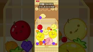 毎日スイカゲーム