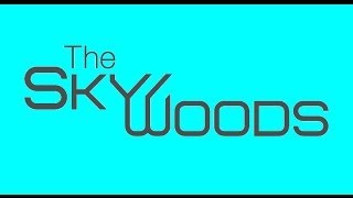 preview picture of video 'The Skywoods Condo'
