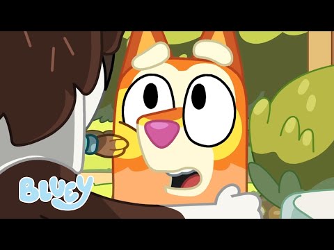 Capa de Bingo o Herói 🧡 | Série 3 - Missão Curry | Bluey Português Brasil Canal Oficial