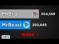 MrBeast vs MrBro Subscriber Count - Week 1