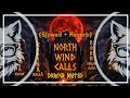 Draugr Balled - North Wind Calls (Slowed + Reverb) 