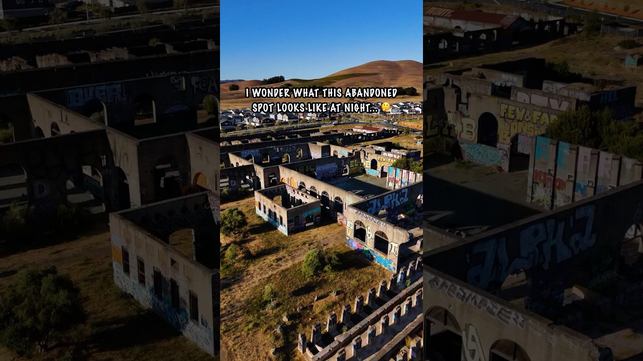 Bringing life back to the ruins in a special way) 🌱