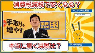 消費税減税で本当に安くなる？玉木代表が語る物価高対策の争点