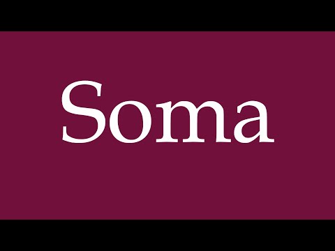 How to Pronounce ''Soma'' Correctly in German