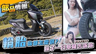 [問題] 米其林兩款油車速克達輪胎請教