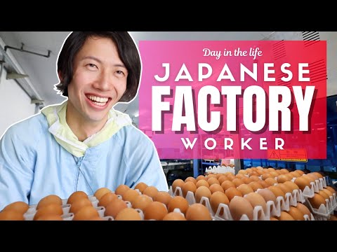 日本工廠工人的一天 (Day in the Life of a Japanese Factory Worker)