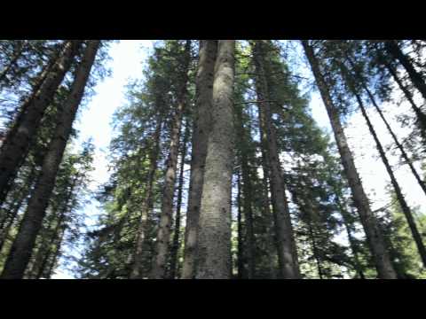 ANTARCTICA 'Pase Magice' Official Video