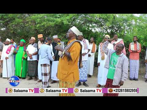 Siyarada Sh Xasan Cilmi Faarax | Baqdaadiya | Xaaji  Aarmiye