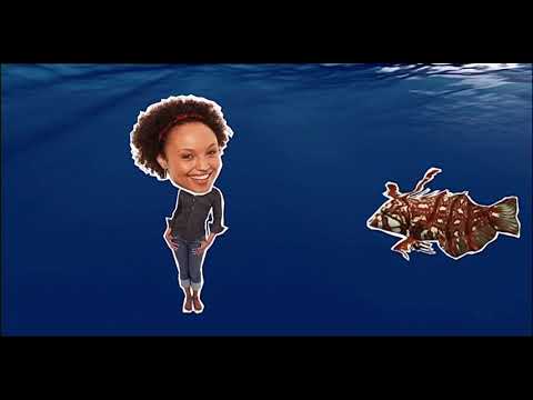 Barney's Barrier Reef - S01E18