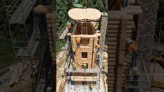 Download lagu Handcrafted Wooden House in the Jungle'short video # trending video # mp3 Download lagu Handcrafted Wooden House in the Jungle'short video # trending video # mp3