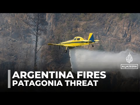 Argentina battling raging fires: Patagonia's forest under threat