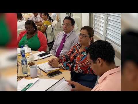 Government Officials Respond to Constitution Report Criticism