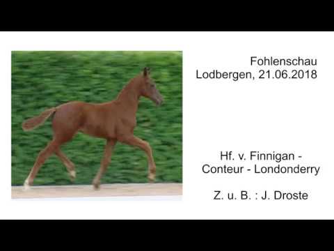 Hf v Finnigan x Conteur x Londonderry 2018