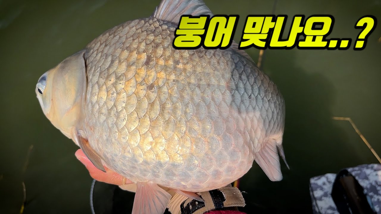 유튜브 썸네일