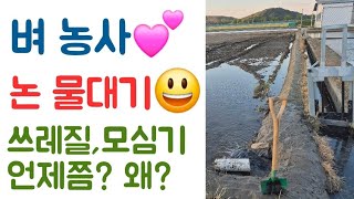 논 물대기???? 쓰레질, 모심기는 언제쯤? 왜?