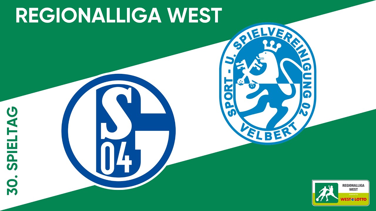 Schalke 04 II U23 vs SSVg Velbert Highlights