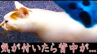 【ホラゲー】猫が左に進むだけのゲームでビビりまくる - つぐのひ 〜ねこのひ怪奇譚〜 -