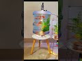 Create A Cool Water Bottle Aquarium In Your Room Aquarium Fishtank DIY