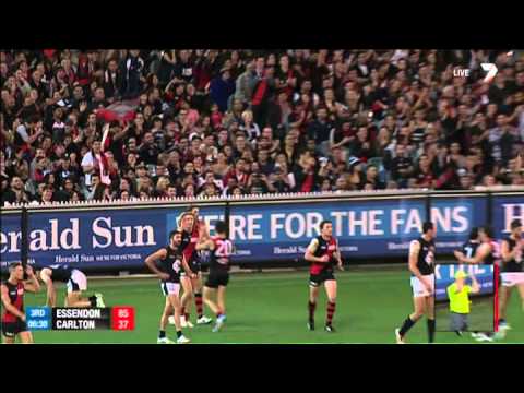 Round 3 AFL Highlights - Essendon v Carlton