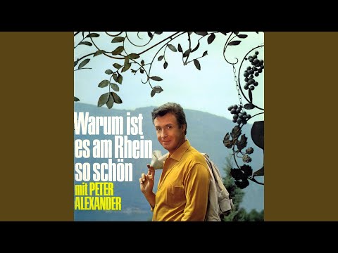 In Mainz am schönen Rhein