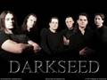 Darkseed - I Turn To You 